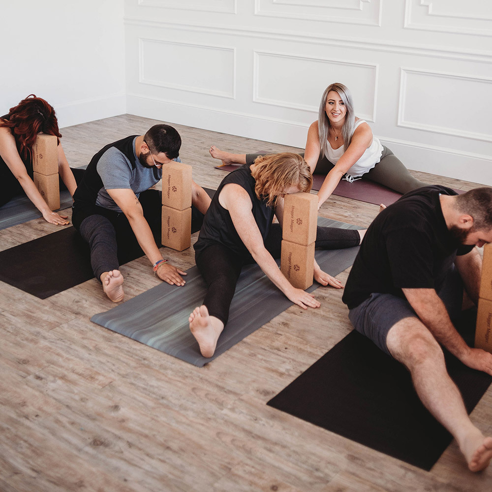 Cork Yoga Block – Evoke Wellness